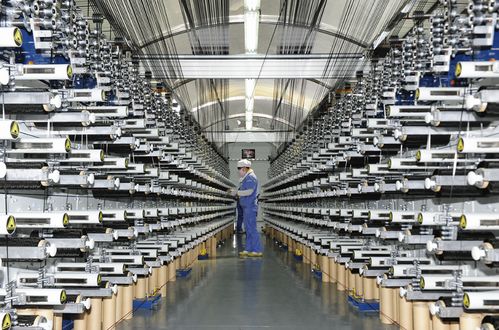 科技为关键变量，激活澎湃动能——‘十四五’以来港城科技创新综述