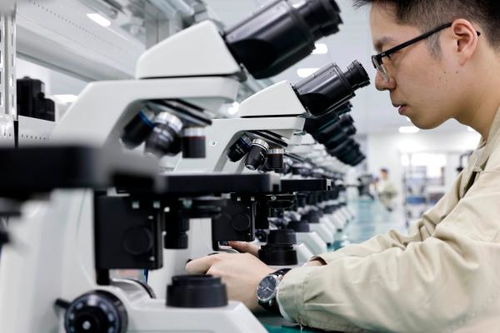 宁波集成品质标 赋能发展新质生产力的技术咨询之路